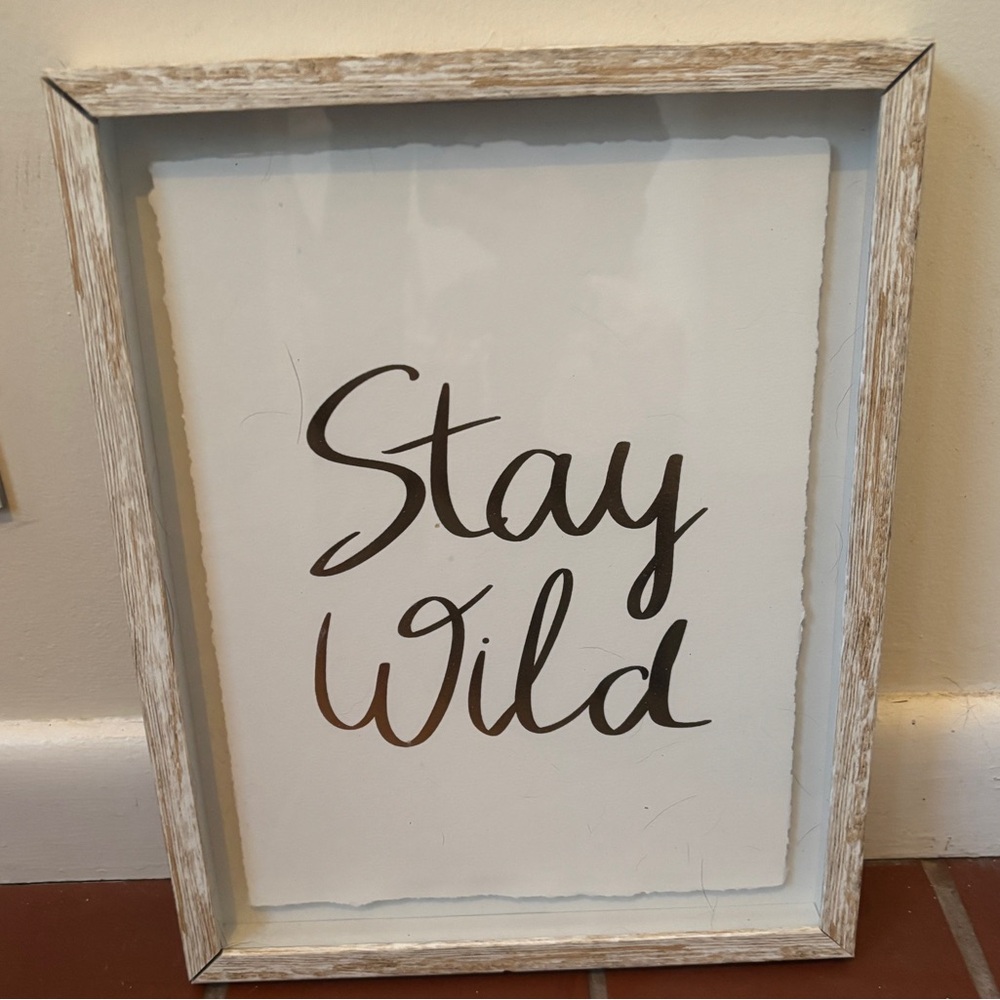 Stay Wild Framed Wall Art